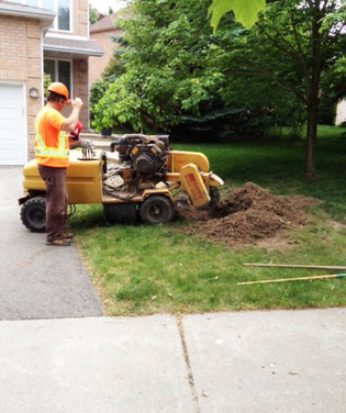 Stump Grinding Youngstown