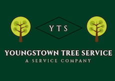 Youngstown Tree Service Logo